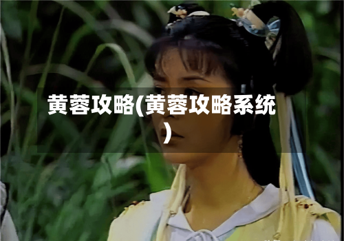 黄蓉攻略(黄蓉攻略系统)