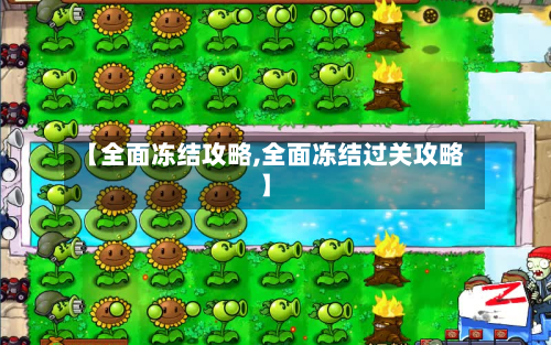 【全面冻结攻略,全面冻结过关攻略】-第3张图片