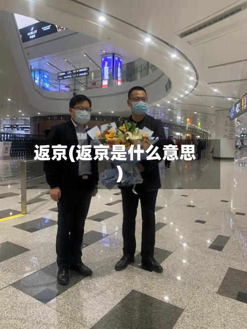 返京(返京是什么意思)