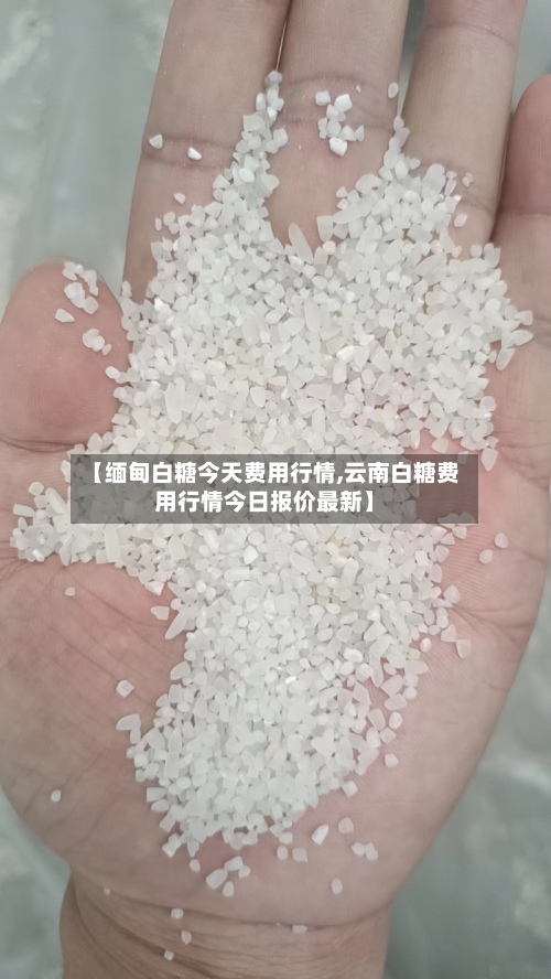 【缅甸白糖今天费用行情,云南白糖费用行情今日报价最新】-第2张图片