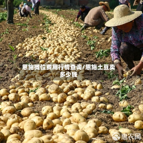恩施摊位费用行情查询/恩施土豆卖多少钱-第3张图片