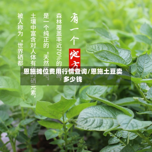 恩施摊位费用行情查询/恩施土豆卖多少钱