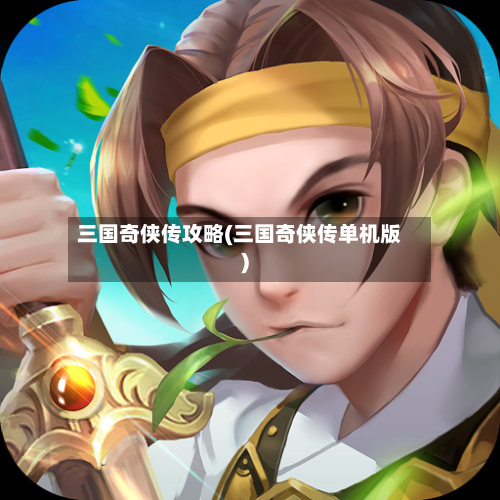 三国奇侠传攻略(三国奇侠传单机版)-第2张图片