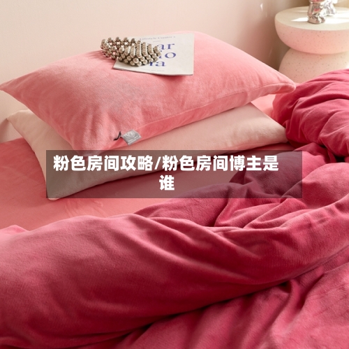 粉色房间攻略/粉色房间博主是谁
