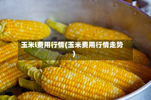 玉米l费用行情(玉米费用行情走势)