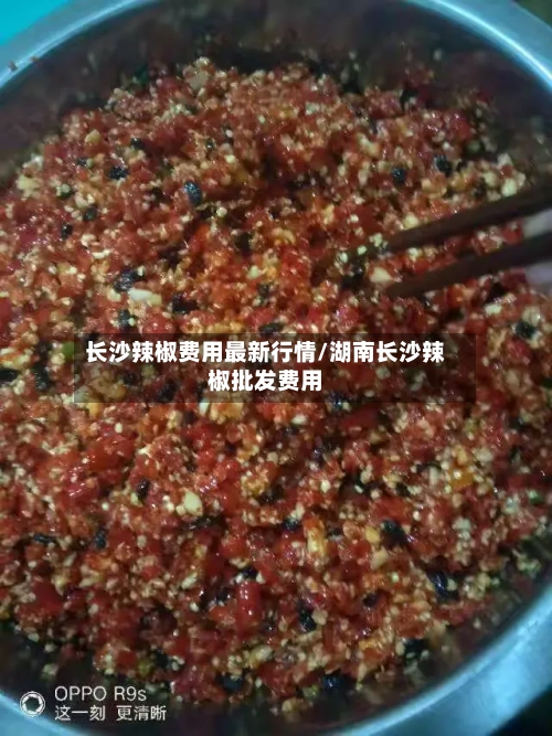 长沙辣椒费用最新行情/湖南长沙辣椒批发费用-第2张图片