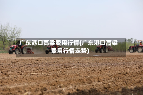 广东港口高粱费用行情(广东港口高粱费用行情走势)