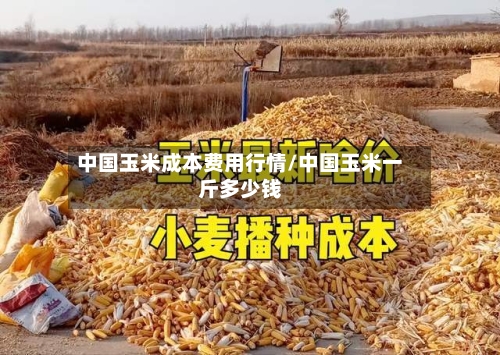 中国玉米成本费用行情/中国玉米一斤多少钱