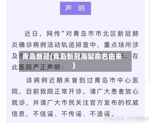 青岛新冠(青岛新冠高架命名由来)-第3张图片