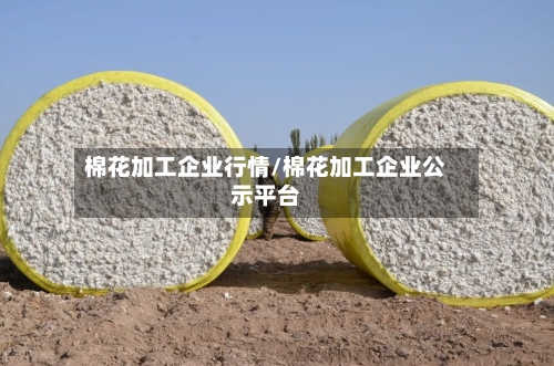 棉花加工企业行情/棉花加工企业公示平台-第3张图片