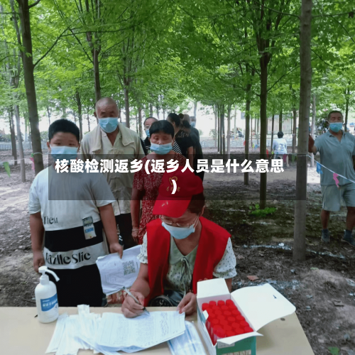 核酸检测返乡(返乡人员是什么意思)-第2张图片