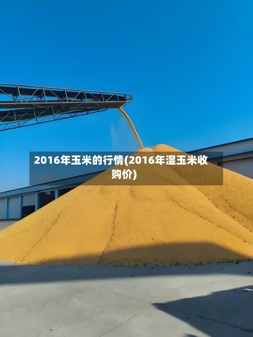 2016年玉米的行情(2016年湿玉米收购价)