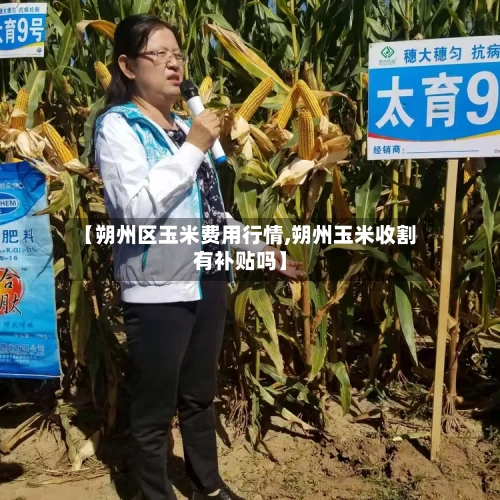 【朔州区玉米费用行情,朔州玉米收割有补贴吗】-第2张图片