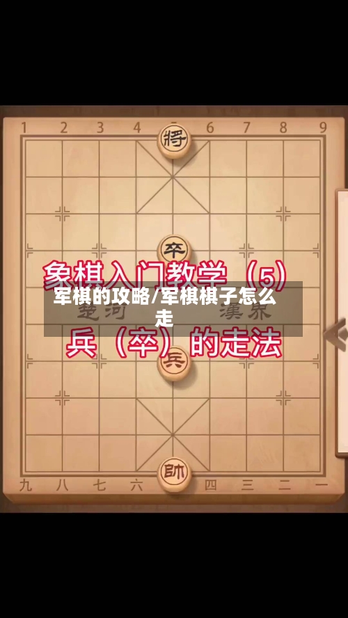 军棋的攻略/军棋棋子怎么走