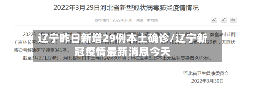 辽宁昨日新增29例本土确诊/辽宁新冠疫情最新消息今天-第3张图片