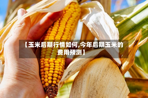【玉米后期行情如何,今年后期玉米的费用预测】