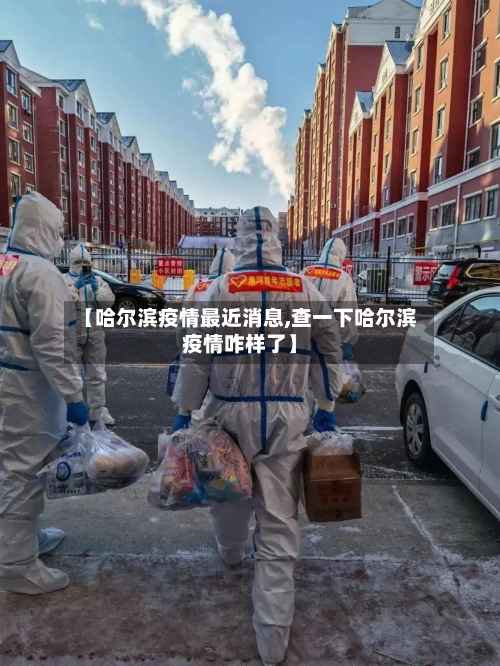 【哈尔滨疫情最近消息,查一下哈尔滨疫情咋样了】-第2张图片