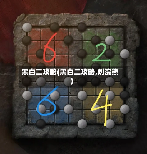 黑白二攻略(黑白二攻略,刘浣熊)