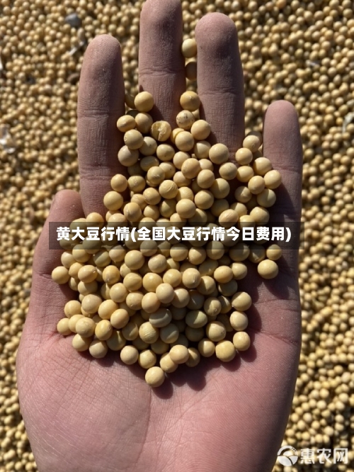 黄大豆行情(全国大豆行情今日费用)-第3张图片