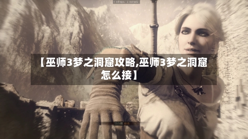 【巫师3梦之洞窟攻略,巫师3梦之洞窟怎么接】-第2张图片