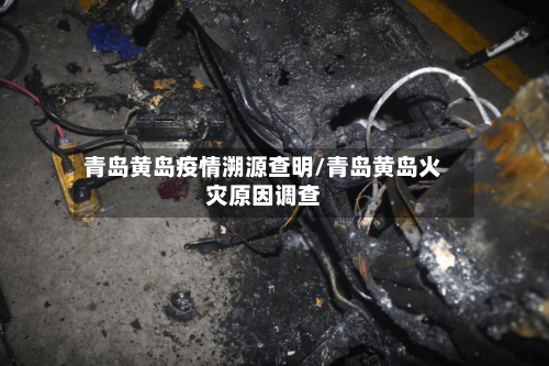 青岛黄岛疫情溯源查明/青岛黄岛火灾原因调查-第3张图片
