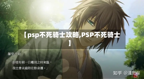 【psp不死骑士攻略,PSP不死骑士】