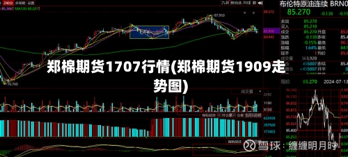 郑棉期货1707行情(郑棉期货1909走势图)-第2张图片