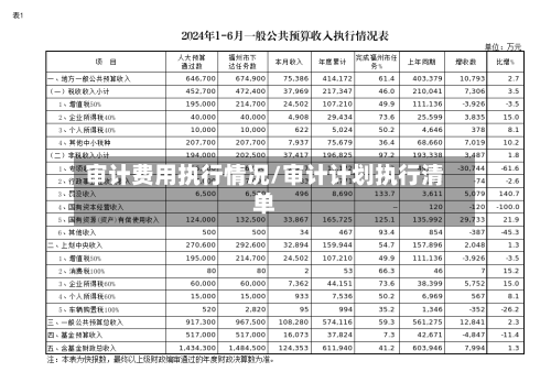 审计费用执行情况/审计计划执行清单-第3张图片