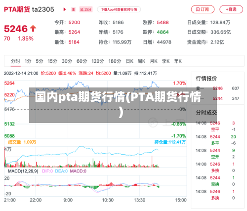 国内pta期货行情(PTA期货行情)-第3张图片