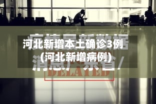 河北新增本土确诊3例(河北新增病例)