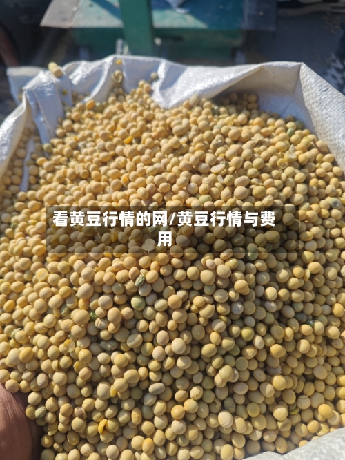 看黄豆行情的网/黄豆行情与费用