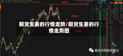 期货生姜的行情走势/期货生姜的行情走势图-第2张图片