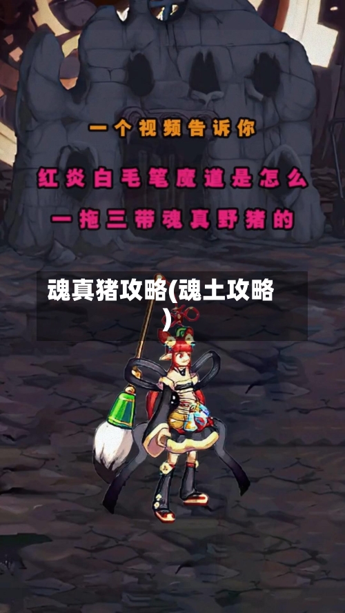 魂真猪攻略(魂土攻略)-第3张图片
