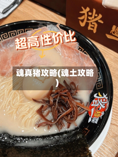 魂真猪攻略(魂土攻略)