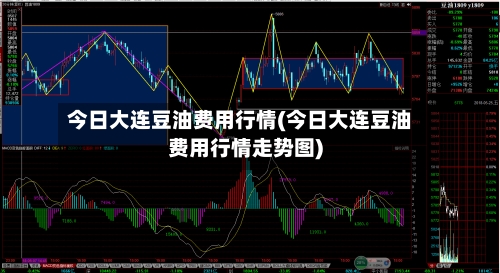 今日大连豆油费用行情(今日大连豆油费用行情走势图)-第2张图片