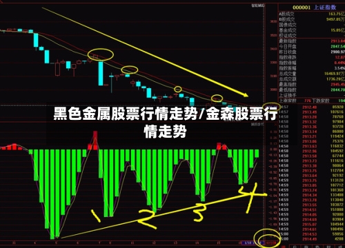 黑色金属股票行情走势/金森股票行情走势