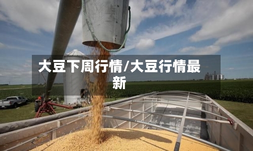 大豆下周行情/大豆行情最新-第2张图片