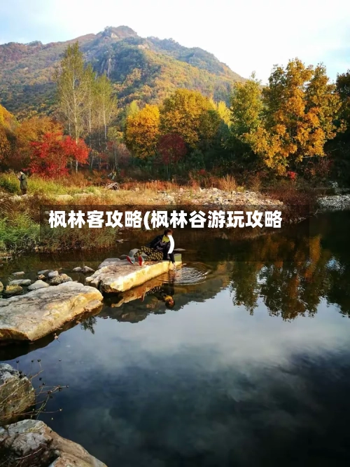 枫林客攻略(枫林谷游玩攻略)