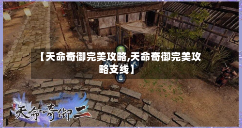 【天命奇御完美攻略,天命奇御完美攻略支线】