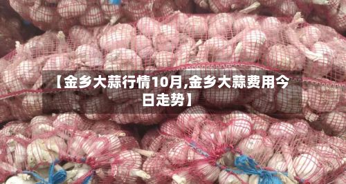 【金乡大蒜行情10月,金乡大蒜费用今日走势】