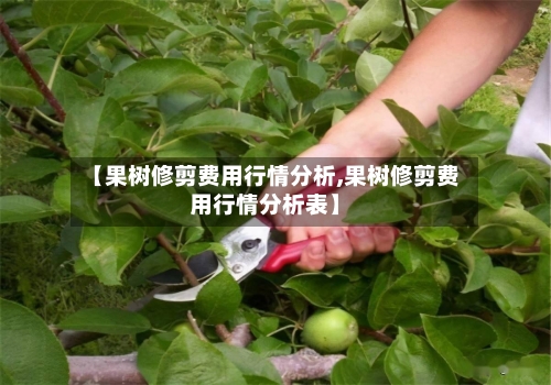 【果树修剪费用行情分析,果树修剪费用行情分析表】