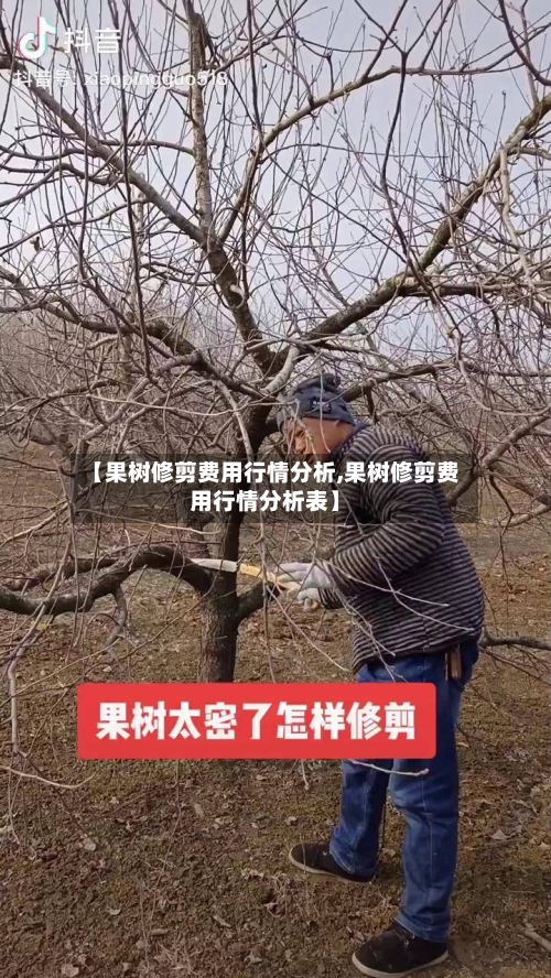 【果树修剪费用行情分析,果树修剪费用行情分析表】-第3张图片