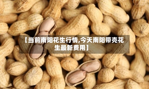 【当前南阳花生行情,今天南阳带壳花生最新费用】-第2张图片