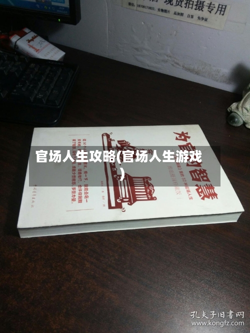 官场人生攻略(官场人生游戏)