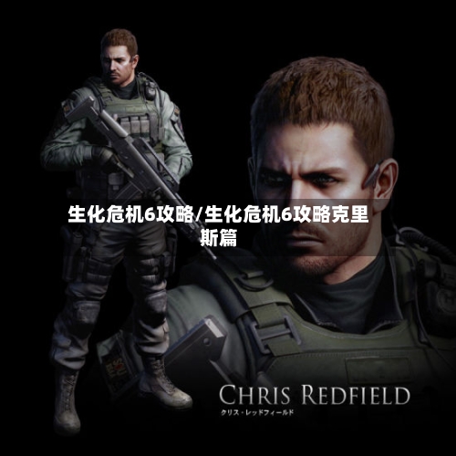 生化危机6攻略/生化危机6攻略克里斯篇-第2张图片