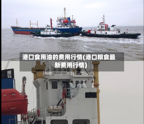 港口食用油的费用行情(港口粮食最新费用行情)