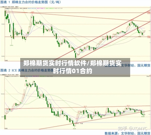 郑棉期货实时行情软件/郑棉期货实时行情01合约-第2张图片