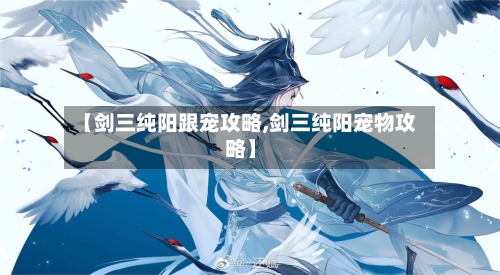 【剑三纯阳跟宠攻略,剑三纯阳宠物攻略】