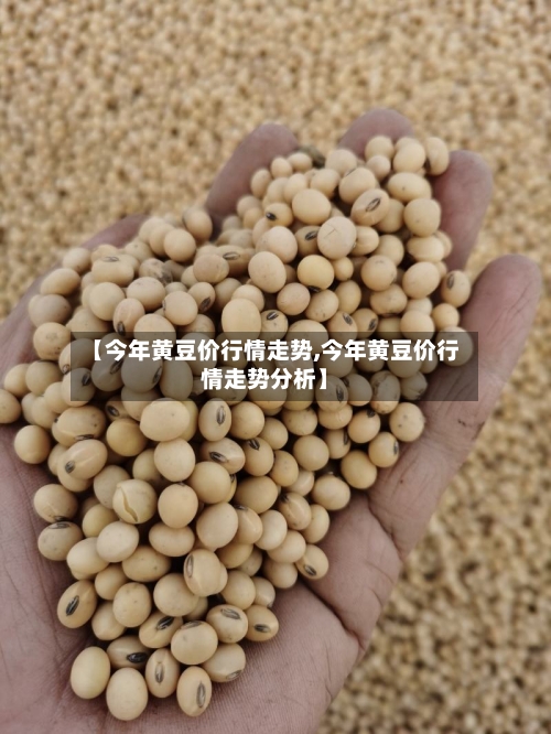 【今年黄豆价行情走势,今年黄豆价行情走势分析】