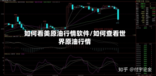 如何看美原油行情软件/如何查看世界原油行情-第3张图片